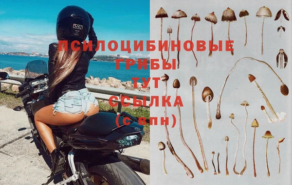 прущие крисы Богданович