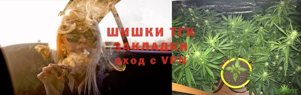 твердый Богородск