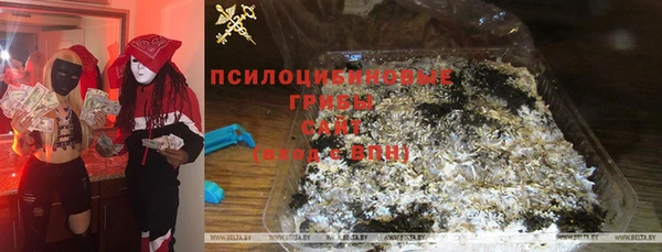 твердый Богородск