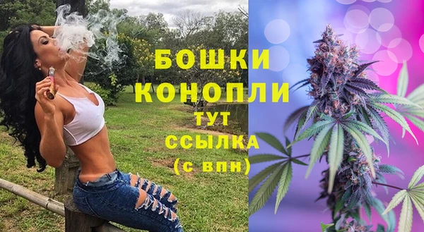 экстази Богородицк