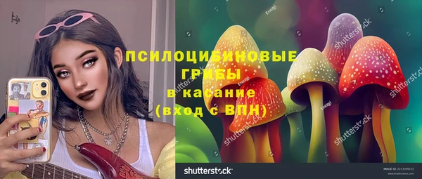 твердый Богородск